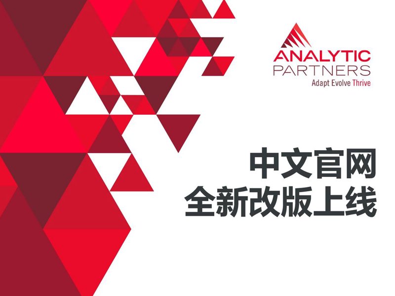 上海网站建设：让您的品牌翱翔于网络之上